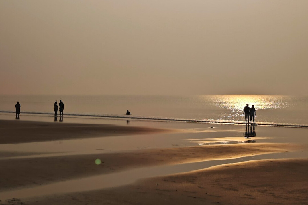 person walking in nature at dawn