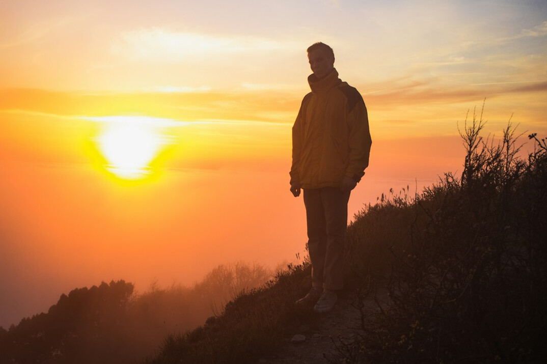 person walking in nature at dawn